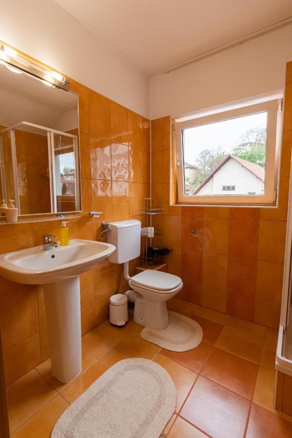Residence 48 Beautiful Building Within Moments From The Old Town Of Braşov Eksteriør billede